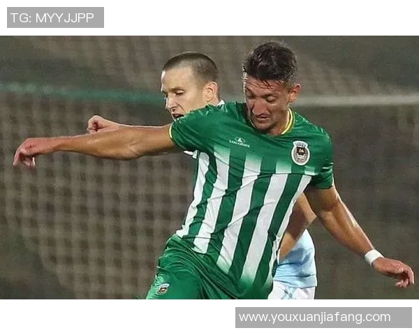 哈德斯与雷丁对决前瞻分析及比赛结果预测详解 哈德斯与雷丁对决前瞻分析及比赛结果预测详解